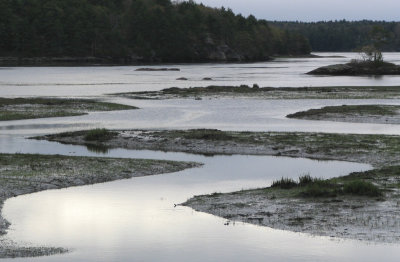Dawn Kennebec River