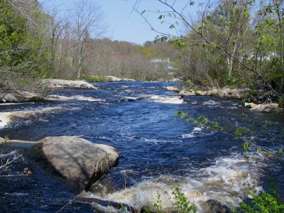 Medomak River 1