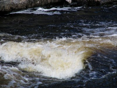 Medomak River Swirl