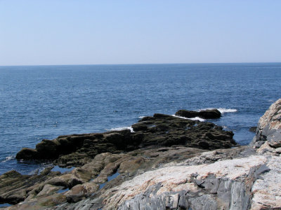 Pemaquid Toe