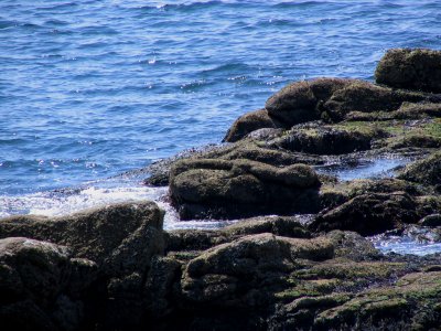 Pemaquid Waters Edge