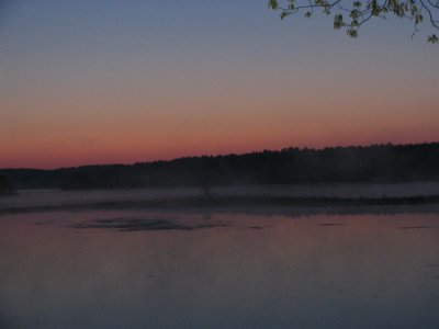 Pink Sunrise