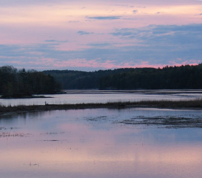 Purple Dawn