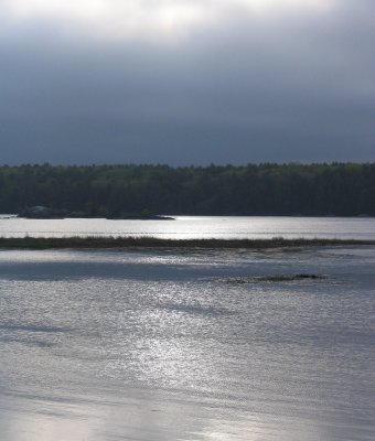 Silver Dawn