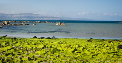 _MG_9392 Pano.jpg