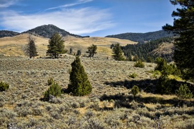 Yellowstone