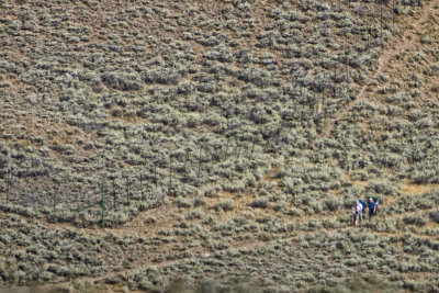 Yellowstone
