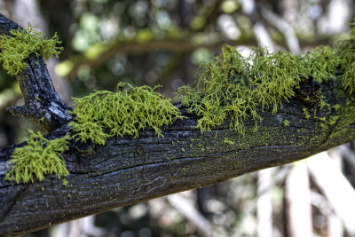 g1/92/771592/3/128586891.NXNz3HN3.jpg