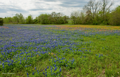 march_2009