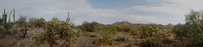 backyard pano small.jpg