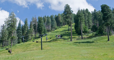 _DSC8554.jpg