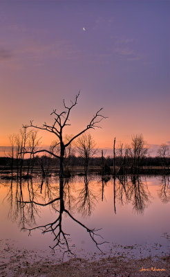 Sunrise Reflections2
