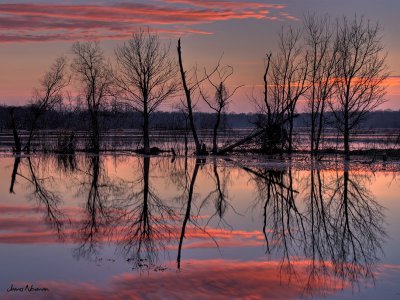 Sunrise Reflections1