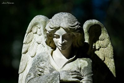 0308_Glenwood Cemetery_1207.jpg