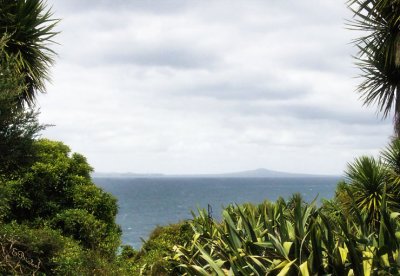 The View from Tiritiri Island