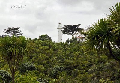 Tiritiri Lighthouse