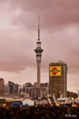 Auckland at Dusk