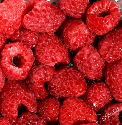 Raspberries 2009