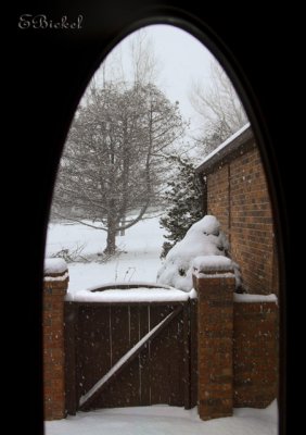 Out the Front Door 2011