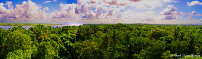 Mayan View of the World