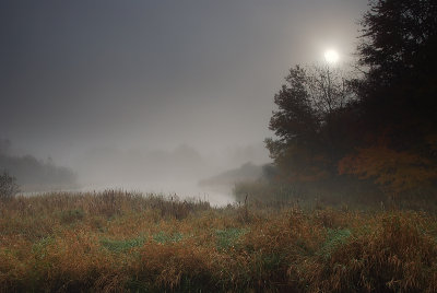 Fall morning mist
