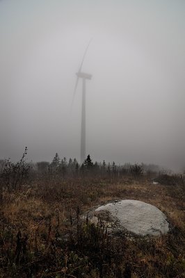 Power generation in the fog