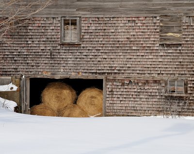 Winter hay