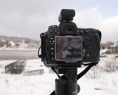 D300 does the cold snap