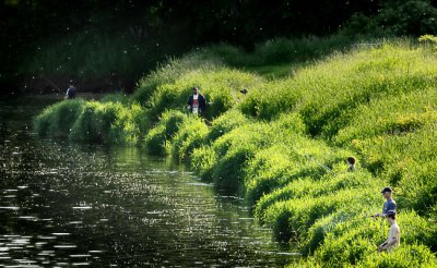 Evening on the riverbank