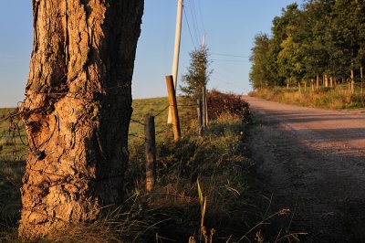 Country road