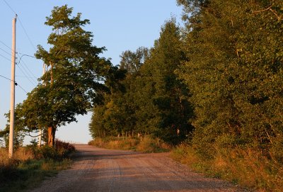 Country Road II