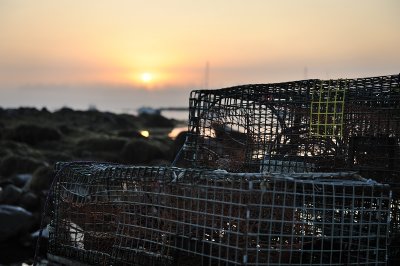 Sunrise and lobster traps