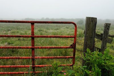 Wet morning