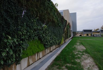 The living wall