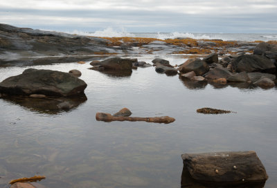 Tidal pools - the calm within the storm