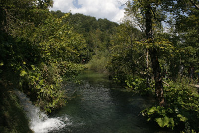 g1/92/797892/3/103032180.WqvKaCNN.jpg