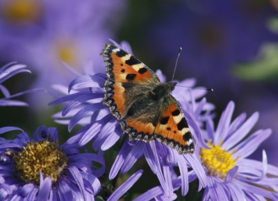 waterperry_sept_08