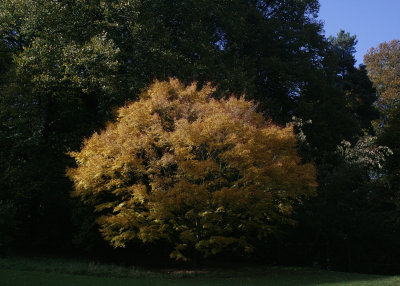 7665_Batsford.jpg