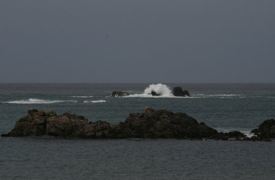8949_St Martins.jpg