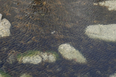 9006_Rock pool.jpg