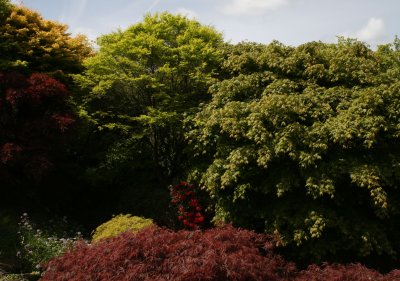 8717_The_Garden_House.jpg