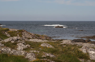 Coll.JPG