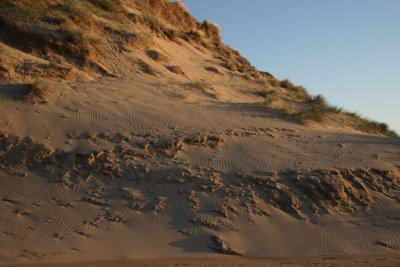Sand dune Traigh Hogh.JPG