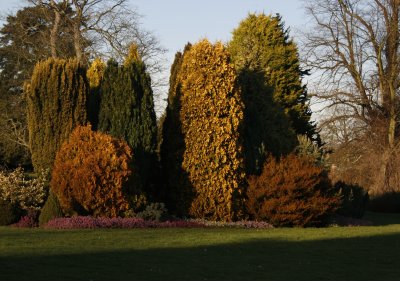 waterperry_9_feb_08