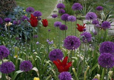 5358_Great_Dixter.jpg