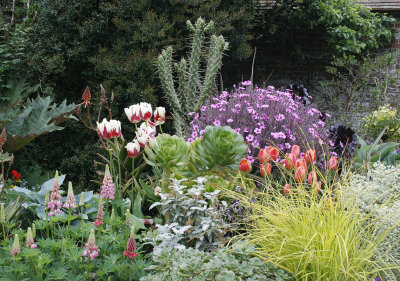 5387_Great_Dixter.jpg