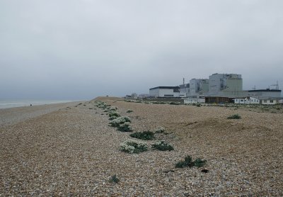5430_Dungeness.jpg
