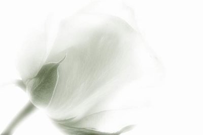 g1/92/798592/3/108060784.j2FVqv1n.jpg