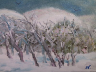 Copaci in iarna