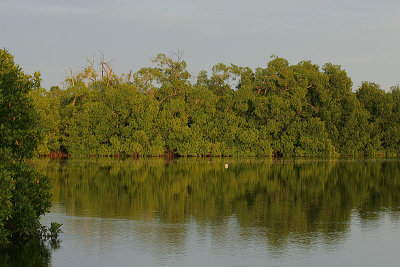 Mandina Bolong view